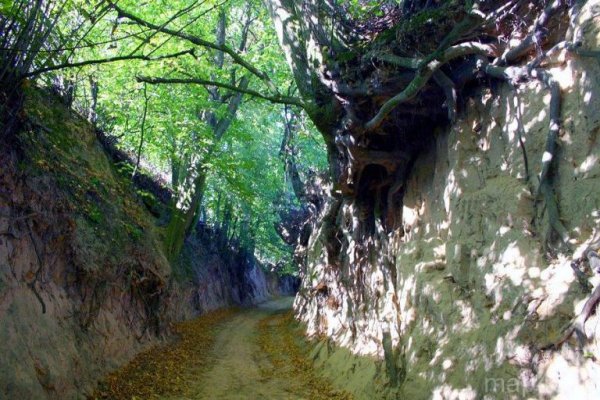 Kazimierski Park Krajobrazowy