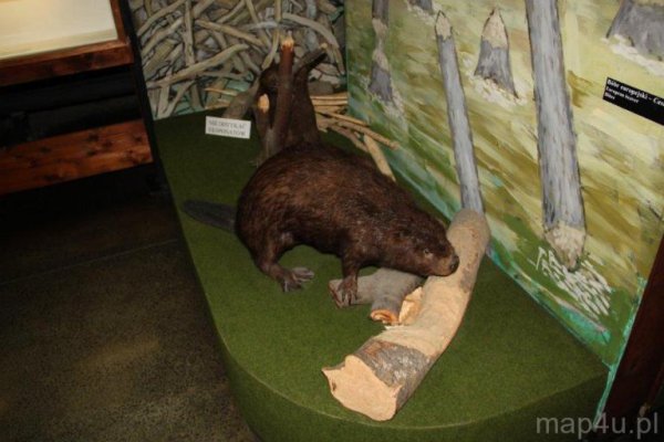 Muzeum Bieszczadzkiego Parku Narodowego