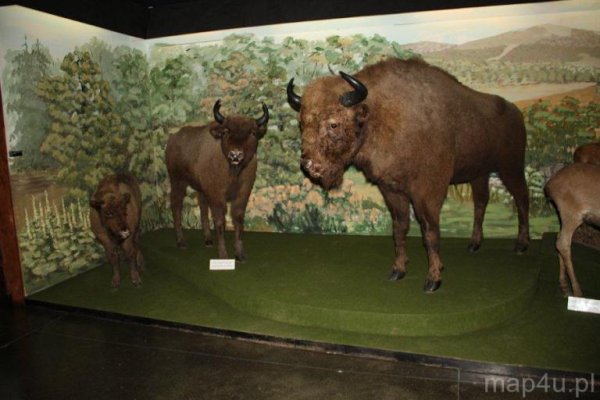 Muzeum Bieszczadzkiego Parku Narodowego