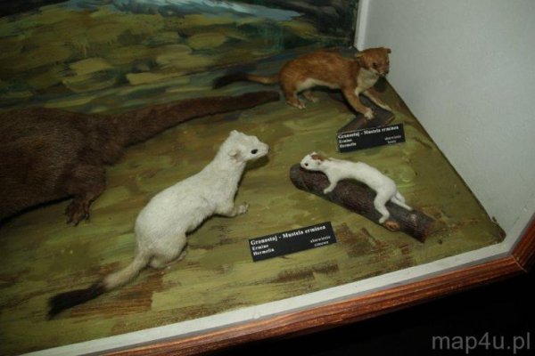 Muzeum Bieszczadzkiego Parku Narodowego