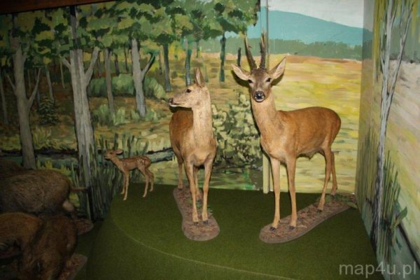 Muzeum Bieszczadzkiego Parku Narodowego