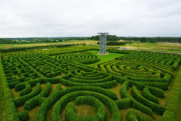 Największy na świecie labirynt grabowy