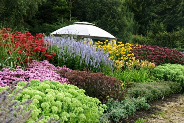 Największy na świecie labirynt grabowy