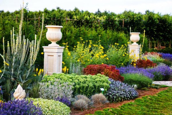 Największy na świecie labirynt grabowy