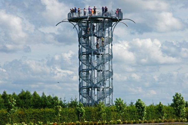 Największy na świecie labirynt grabowy