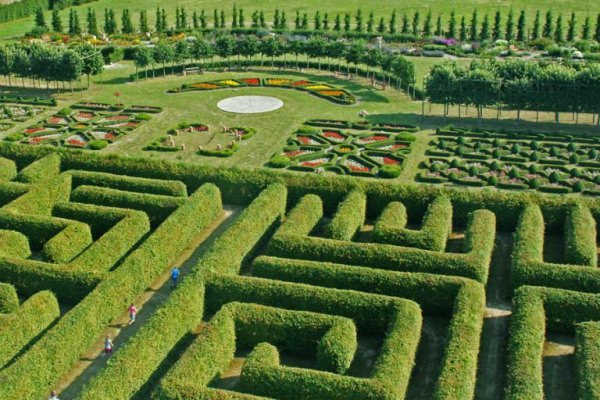 Największy na świecie labirynt grabowy