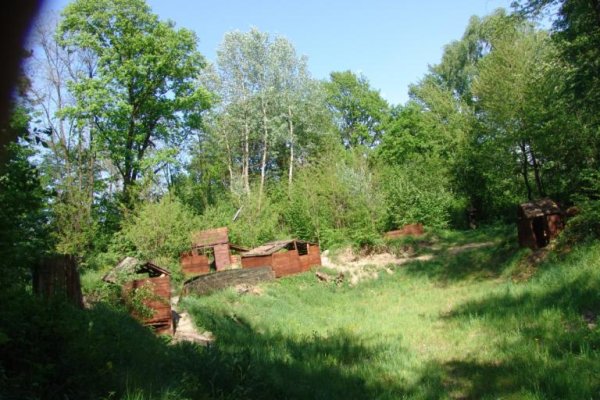 Miasteczko Strzeleckie