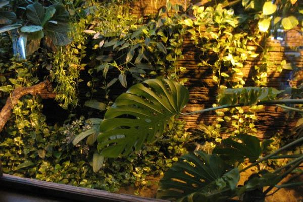 Miejski Ogród Zoologiczny