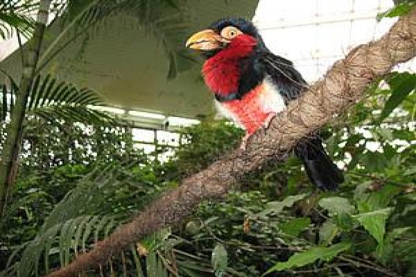 Miejski Ogród Zoologiczny