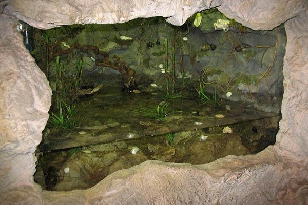 Miejski Ogród Zoologiczny