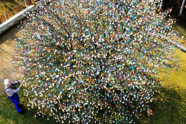 Drzewko wielkanocne z tysiącami pisanek