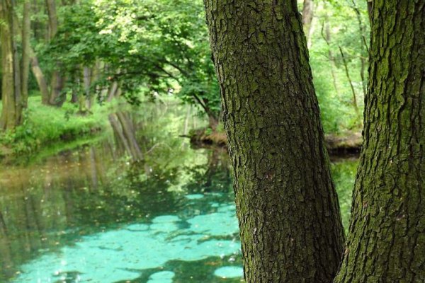 Rezerwat  Niebieskie Źródła