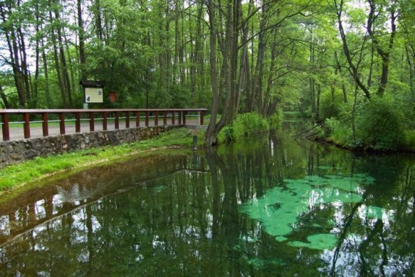 Rezerwat  Niebieskie Źródła