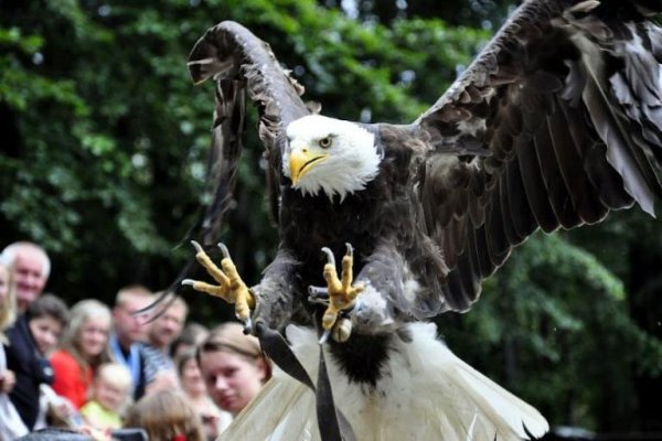 Leśny Park Niespodzianek