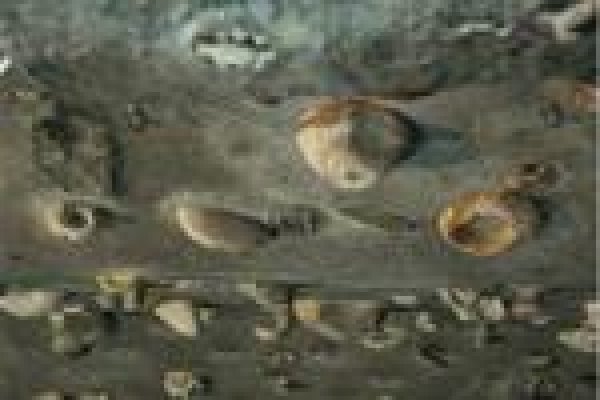 Hulakula Rodzinne Centrum Rozrywki