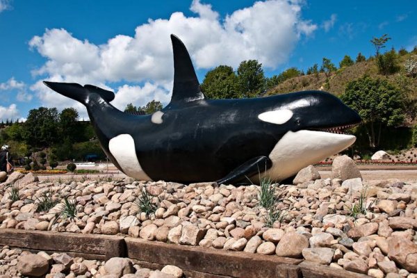 Ocean Park