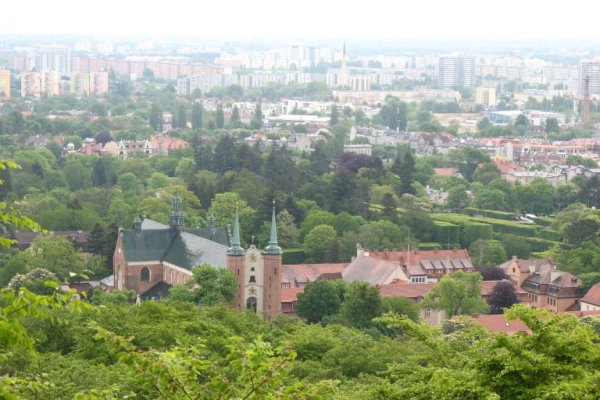Wzgórze Pachołek