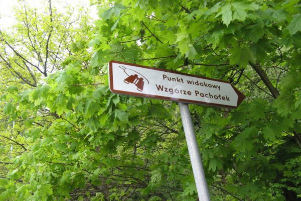 Wzgórze Pachołek