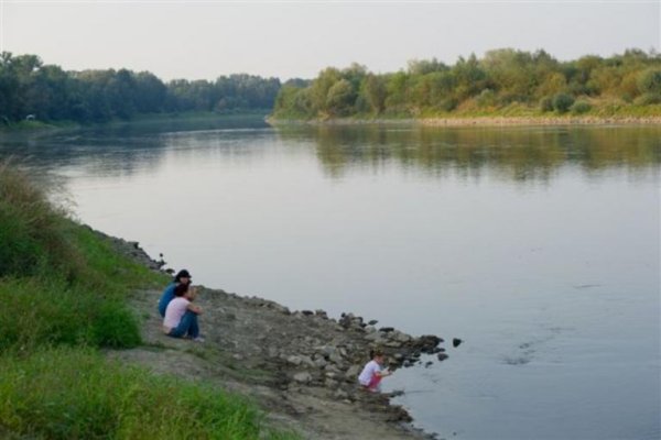 Ujście Dunajca do Wisły