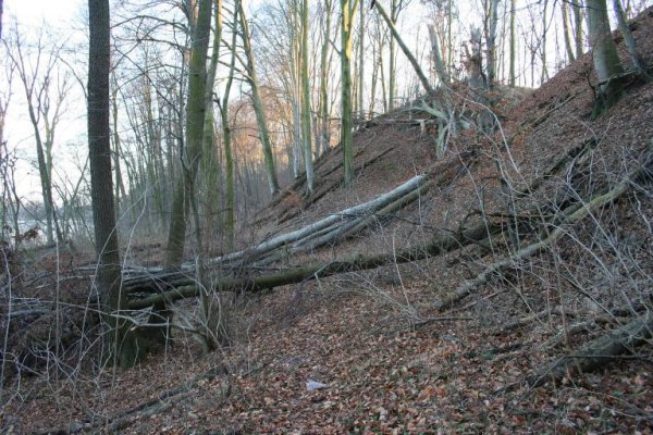 Sierakowski Park Krajobrazowy