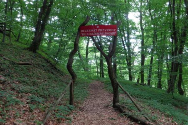 Sierakowski Park Krajobrazowy