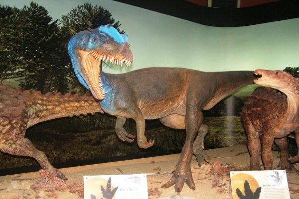 Muzeum Przyrody i Techniki EkoMuzeum im. Jana Pazdura