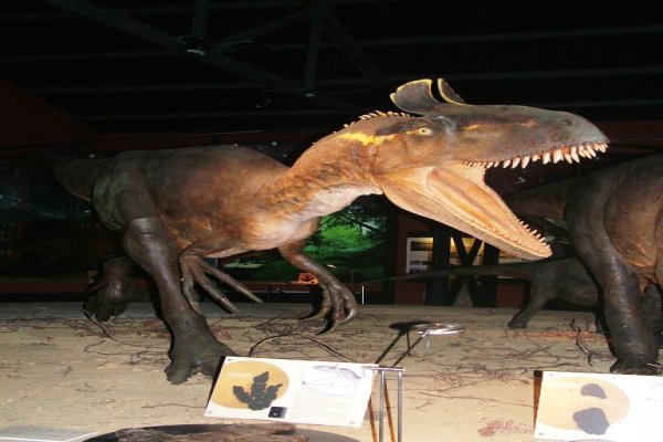 Muzeum Przyrody i Techniki EkoMuzeum im. Jana Pazdura