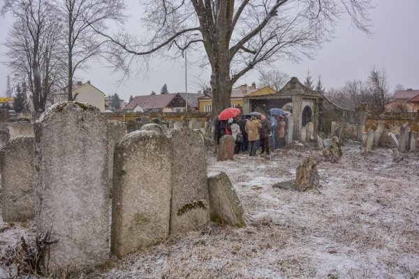 Cmentarz żydowski w Lubaczowie