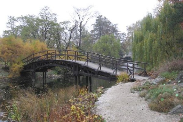 Ogród Botaniczny we Wrocławiu