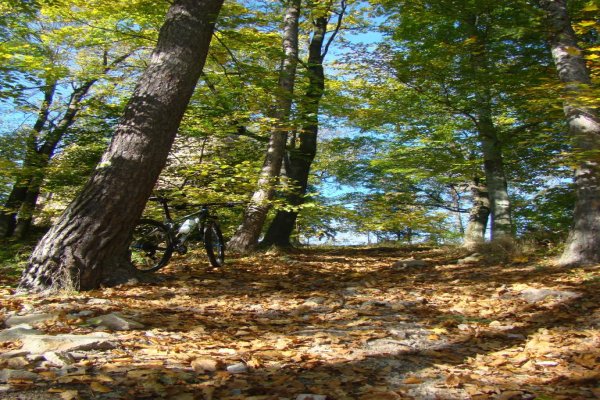 Ruiny Zamku Marczyce