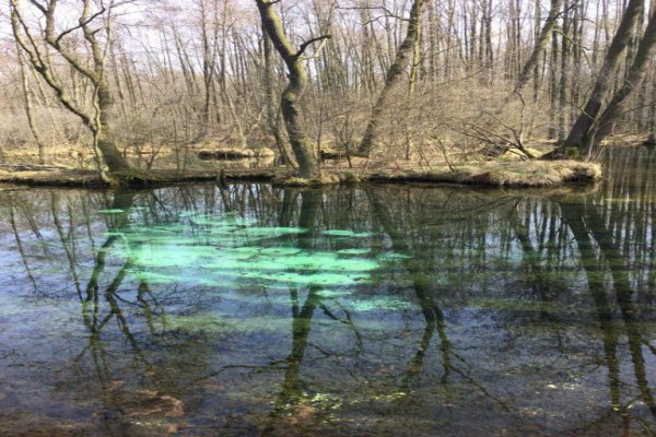 Rezerwat  Niebieskie Źródła