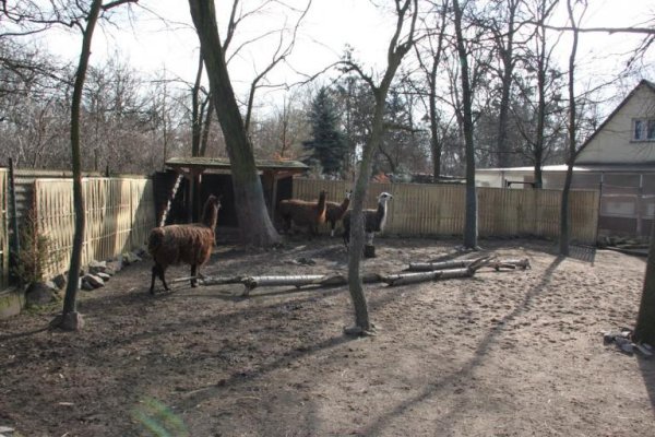 Wrocławskie Zoo, Wrocław - mapa, zdjęcia, opinie