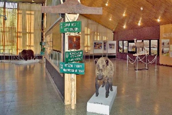Muzeum Tatrzańskiego Parku Narodowego — zdjęcie 3