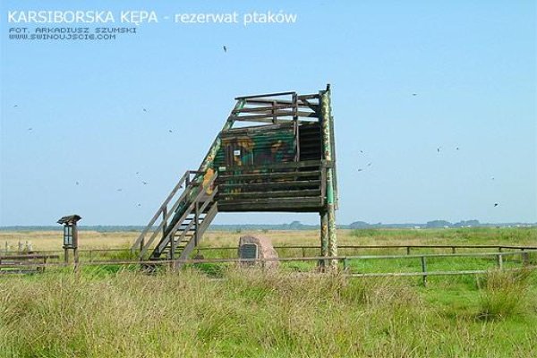 Rezerwat przyrody Karsiborska Kępa