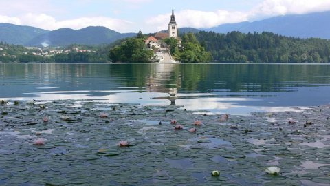 Bled