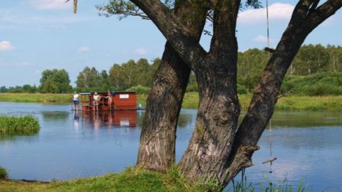 Biebrza rafting trips