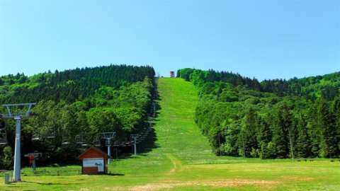Ośrodek narciarski - Góra Dzikowiec
