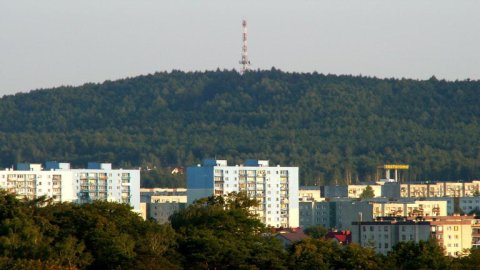 Stok Narciarski Telegraf