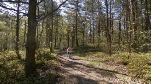   Okolica Seekenmoor - Strumień Czarna