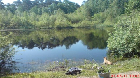 Usteckie jeziorko zwane "Seekenmoor"