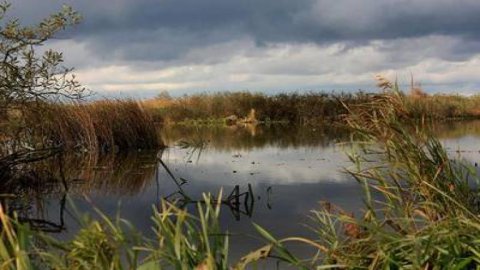  Modla Lake - Nature Reserve