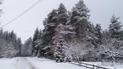 Przystanek Stręgielek — zdjęcie 6
