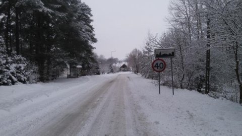 Przystanek Stręgielek — zdjęcie 9
