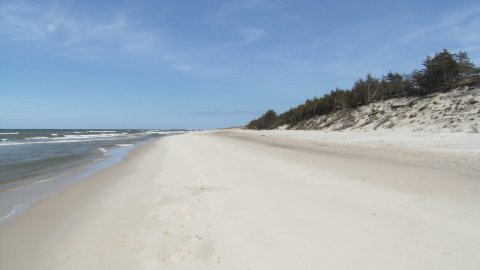 Dzika plaża w Czołpinie