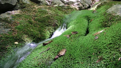 Paklenica National Park