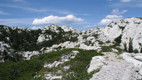 Northern Velebit National Park