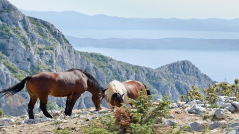 Biokovo Nature Park