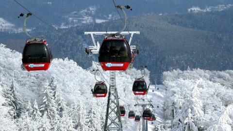 Krynica - Stacja Narciarska Jaworzyna Krynicka