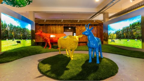 Centrum Tradycji Mleczarstwa – Muzeum Mleka w Grajewie — zdjęcie 2