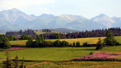 kulig latem — zdjęcie 3